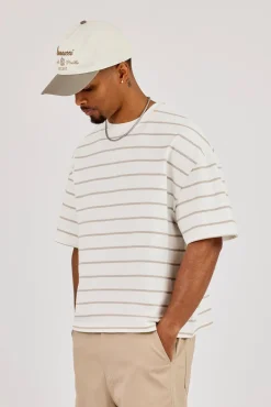 Boxy Stripe Logo T-Shirt - Taupe
