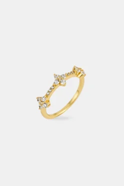 Iced Band Flower Ring - 6mm