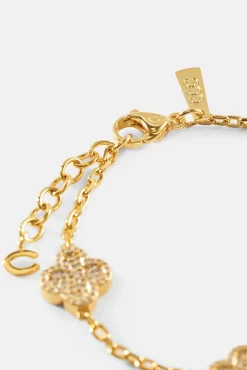 Iced Motif Rolo Link Bracelet - 12mm